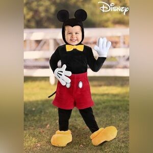 Disney Mickey Mouse custom.
